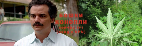 ПСИЛОЦИБИНОВЫЕ ГРИБЫ Арсеньев