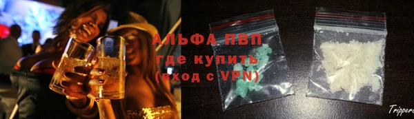 ПСИЛОЦИБИНОВЫЕ ГРИБЫ Арсеньев