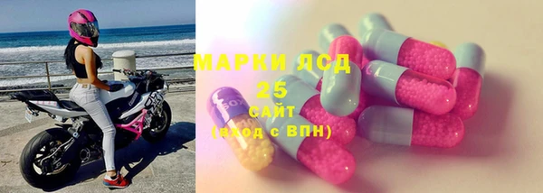 ПСИЛОЦИБИНОВЫЕ ГРИБЫ Арсеньев