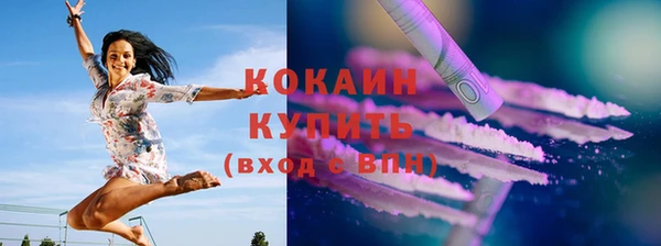 ПСИЛОЦИБИНОВЫЕ ГРИБЫ Арсеньев
