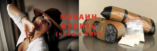 ПСИЛОЦИБИНОВЫЕ ГРИБЫ Арсеньев