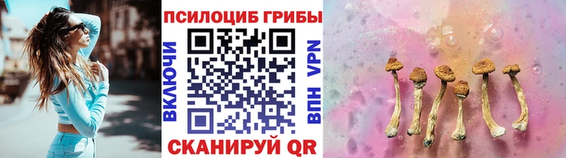 продажа наркотиков  Светогорск  Галлюциногенные грибы Magic Shrooms 